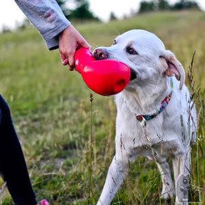 L-Size KONG Bounzer Dog Toy