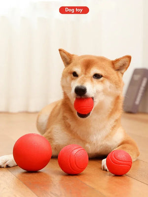 Durable Bouncy Dog Toy for Pets Chew Proof Rubber Ball S to L Size Training Interactive Chew Resistant Molar Ball