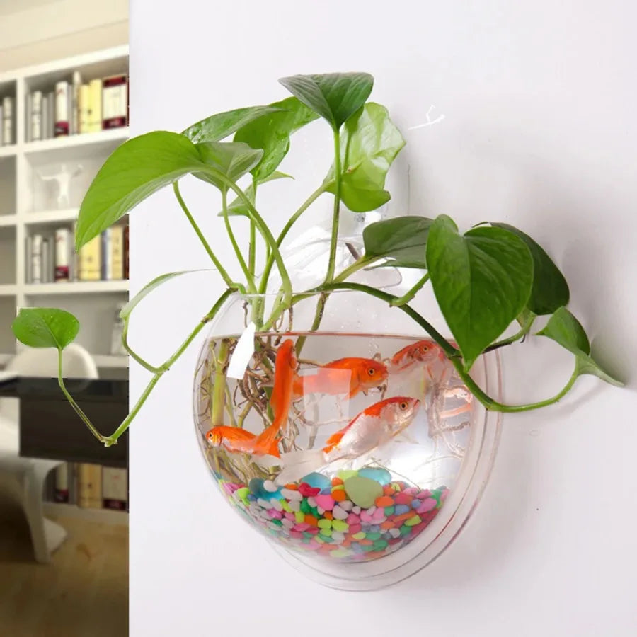 Wall Hanging Fish  Acrylic Fish Bowl Hanging Decorative Container Wall Hanging Fish