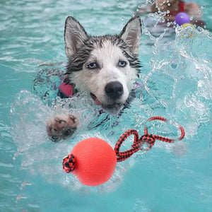 Dog Toys for Large Dogs Toy Rubber Molar Teeth Bite Train Solid Bite-resistant Elastic Non-toxic Odorless Pet Ball Toy