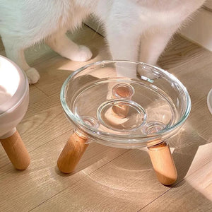 【E】Cat Bowl With Transparent Design, Elevated Cat Food Bowl Water Plate Snack Dish With Stand For Neck Protection