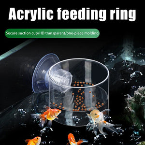 〔W〕Fish Tank Feeding Ring Transparent Acrylic Rectangle Round Shape Aquarium Suspensible Feeder For Tank Floating Food Dispenser