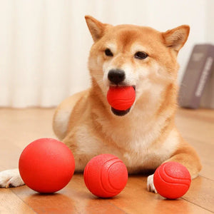 Durable Bouncy Dog Toy for Pets Chew Proof Rubber Ball S to L Size Training Interactive Chew Resistant Molar Ball