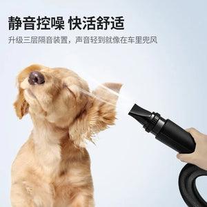 Professional Power Hair Dryer for Dogs, Negative Ion Animal Hair Dryer, Silent, High Velocity, Pet Dog, 2200W
