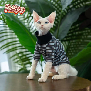 Cat high-neck T-shirt clothes, handsome and fashionable Devon cat hairless cat is the first choice, summer pet clothes, anti-she