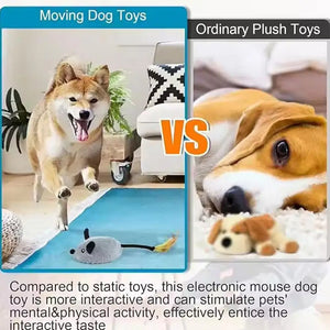 Simulation Remote Control Electric Indoor And Mouse Reliever Toy Pet Chasing Boredom Toy Rechargeable Wireless Indu K6i8
