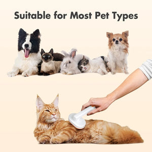 Cat Hair Brush, Cat Brushes For Indoor Cats Grooming And Shedding, Self Cleaning Brush For Short And Long Haired Cats