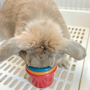 8pcs Stackable rabbit cups, colorful small animals rich toys, interactive snacks hidden games, suitable for rabbits, hamsters