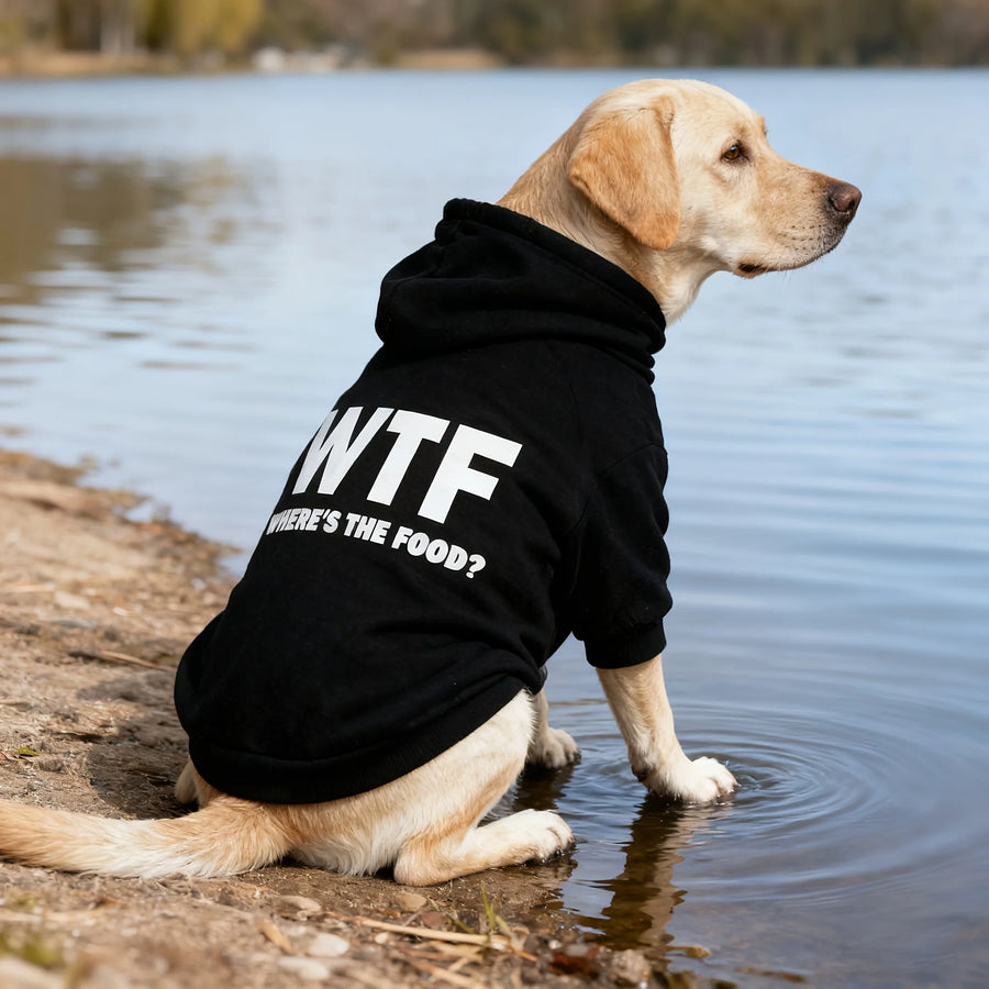 This New Pet Hoodie Features A 'WHERE'S THE FOOD?' Print, Designed Specifically for Medium To Large Dogs