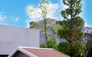 Solid Wood Dog House Large Outdoor Dog House Pet Dogs Park Pets Puppy Bed's Dogs Kennel Crate Little Houses and Rooms for Living