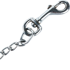 Dog Chain Durable Anti-Bite Metal Chain Small Medium Large Dog Leash Handle Convenient Practical Pet Supplies Pet Accessories