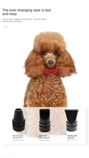 Professional Power Hair Dryer for Dogs, Negative Ion Animal Hair Dryer, Silent, High Velocity, Pet Dog, 2200W
