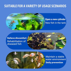 Fish Medicine For Freshwater 100ml Fin Rot Treat Fish Remedy Purify Aquarium Water Safe Fish Remedy Aquarium Supplies For Algae