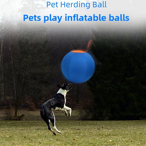 Dog Play Inflatable Big Ball Large Dog Playing Throw Interactive Training Ball Relieve Boredom Grab Fun Pet Dogs Toys Supplies