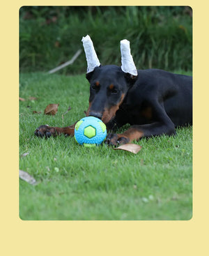 Pet Dog Toy Ball, Grinding Teeth, Biting and Relieving Boredom Tool, Durable and Indestructible, Dog Specific Interactive Toy