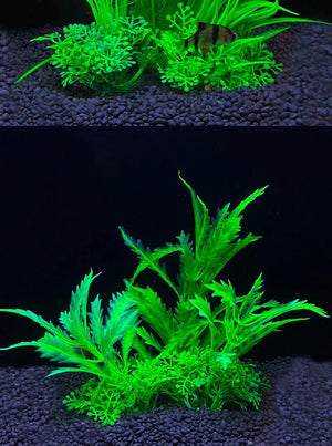 Fish Tank Ornament Plant Aquarium Artificial Decor Plants Simulation Water Grass Fish Bowl Plastic Weeds Decoration 5.5 inch