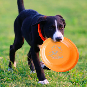 Dog Training Disc - Durable Pet  for Puppy & Adult Dog Training, Lightweight Easy-Catch Dog Training Toy, Essential Pet Supplies