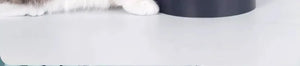 Cat Water Dispenser Moisture-proof Feeders and Water Fountain Large Capacity Detachable Design Cat Accessories for Cats