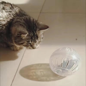 Funny Hamster Toys Spherical Translucent Treadmill for Rats Hamsters Pet Running Toy Durable Plastic Ball Diameter 10-14.5 CM