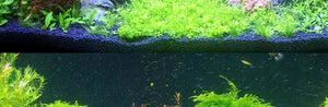 Fish Tank Landscaping Wood Water Plant Root Driftwood Tree Aquatic Plants Aquarium Grass Decorations Accessories (No Moss)