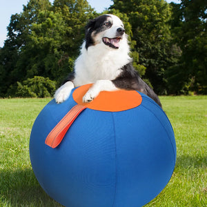 Dog Play Inflatable Big Ball Large Dog Playing Throw Interactive Training Ball Relieve Boredom Grab Fun Pet Dogs Toys Supplies