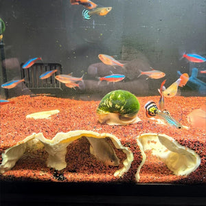 Fish tank underground cave, used for fish shelter hiding house, aquarium landscaping, 3D printing aquarium decoration
