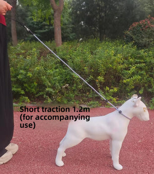 DogtractionropePropeintegratedprofessionaldogtrainingrope generalpurposeforexplosionprooftrainingof small and medium-sized dogs