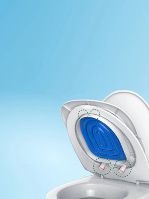 Cat Toilet Training Trainer Litter Box Toilet Teaching Cat to Use Toilet Bowl Cat Bathroom Training Seat for Cats