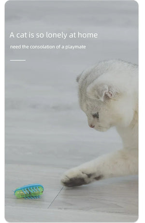 Electric Bug Cat Toy Automatic Flip Battery Operated Pet Dog Beetle Playing Interactive Toy Interactive Cat Toy Pet Supplies