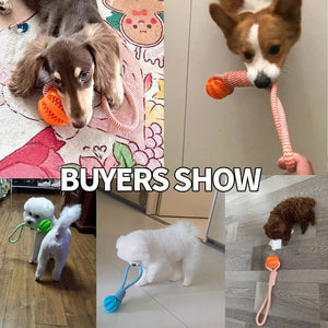 Dog Toys Balls Interactive Treat Rope Rubber Leaking Balls for Small Medium Dogs Chewing Bite Resistant Pet Tooth Cleaning