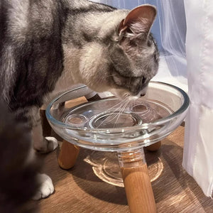 【E】Cat Bowl With Transparent Design, Elevated Cat Food Bowl Water Plate Snack Dish With Stand For Neck Protection