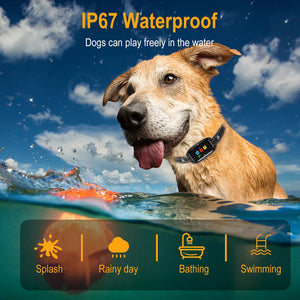 Dog Training Collar with Remote for Dogs Remote Rechargeable Beep/Vibration/Shock/Remote Calling Security Lock Rainproof