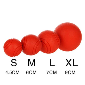 Durable Bouncy Dog Toy for Pets Chew Proof Rubber Ball S to L Size Training Interactive Chew Resistant Molar Ball