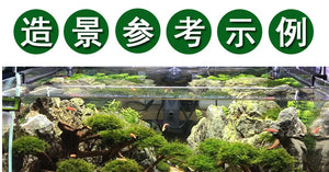 Fish Tank Landscaping Wood Water Plant Root Driftwood Tree Aquatic Plants Aquarium Grass Decorations Accessories (No Moss)