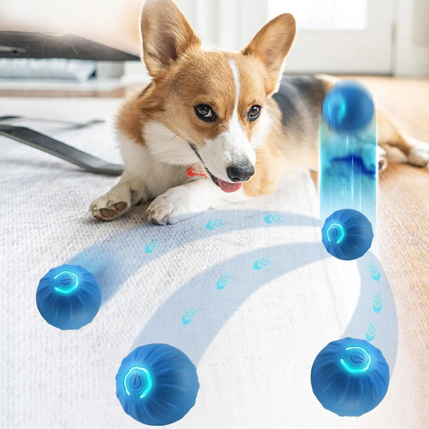 Dog Ball,Automatic Bouncing Ball for Dogs, Puppy Essentials, Vibrating Dog Ball, Dog Birthday, Interactive Dog Toys