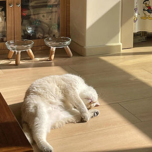 【E】Cat Bowl With Transparent Design, Elevated Cat Food Bowl Water Plate Snack Dish With Stand For Neck Protection