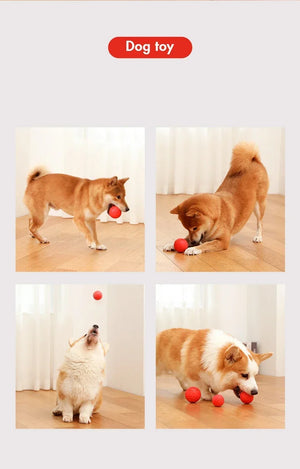 Durable Bouncy Dog Toy for Pets Chew Proof Rubber Ball S to L Size Training Interactive Chew Resistant Molar Ball