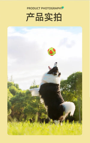 Pet Dog Toy Ball, Grinding Teeth, Biting and Relieving Boredom Tool, Durable and Indestructible, Dog Specific Interactive Toy