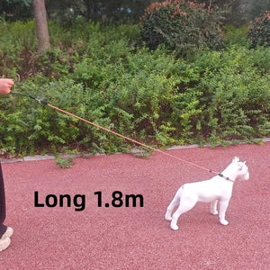 DogtractionropePropeintegratedprofessionaldogtrainingrope generalpurposeforexplosionprooftrainingof small and medium-sized dogs