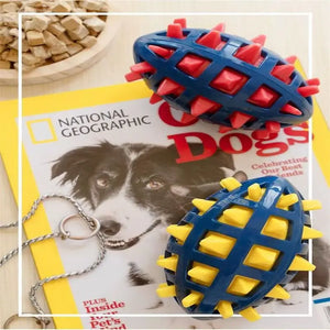 Dog rubber rugby, soft spines, teeth grinding, bite resistance, squeezing, vocalization accompanying large and medium-sized dogs