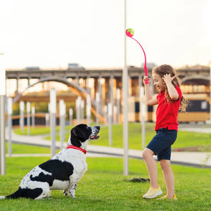 Dog Toys Throwing Pole Dog Training Ball Thrower Outdoor With Tennis Ball Training Throwing Toys Pet Supplies For Gift