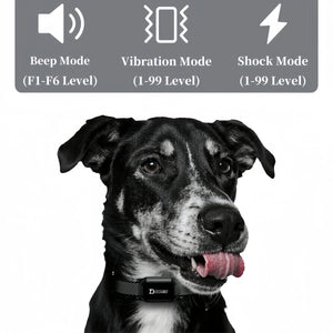 800m Digital Dog Training Collar Waterproof Rechargeable Remote Control Pet with LCD Display for All Size Shock Vibration Sound