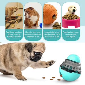 Dog Toy For Small Large Dogs Cats Puppy Slow Feeder Pet Improve IQ Indoor Training Puppy Toys Chihuahua Beagle Pug Pet Supplies