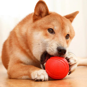 Durable Bouncy Dog Toy for Pets Chew Proof Rubber Ball S to L Size Training Interactive Chew Resistant Molar Ball