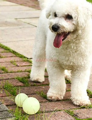 Dog toy ball, elastic, bite resistant, grinding teeth, dog training ball, night light floating rubber interactive