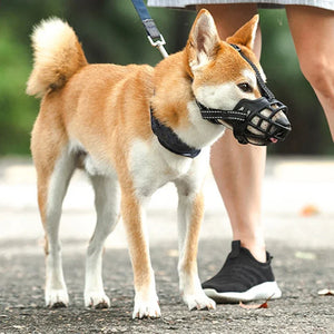 Basket Dog  Adjustable Breathable for Small Medium Large Dogs Stop Biting Barking Chewing Pet Dogs Supplies