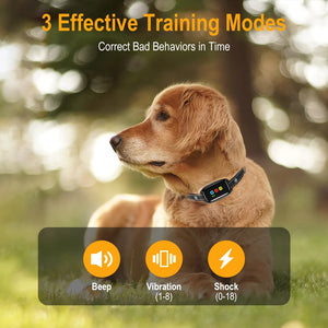 Dog Training Collar with Remote for Dogs Remote Rechargeable Beep/Vibration/Shock/Remote Calling Security Lock Rainproof