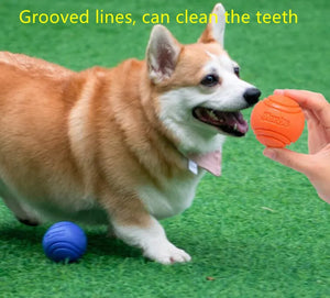 Bouncy Rubber Ball for Pet Dog, Solid Ball, Resistance to Chew Toys, Outdoor Throwing for Dogs