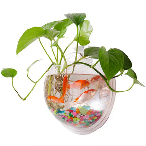 Wall Hanging Fish  Acrylic Fish Bowl Hanging Decorative Container Wall Hanging Fish