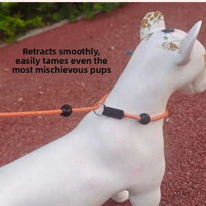 DogtractionropePropeintegratedprofessionaldogtrainingrope generalpurposeforexplosionprooftrainingof small and medium-sized dogs
